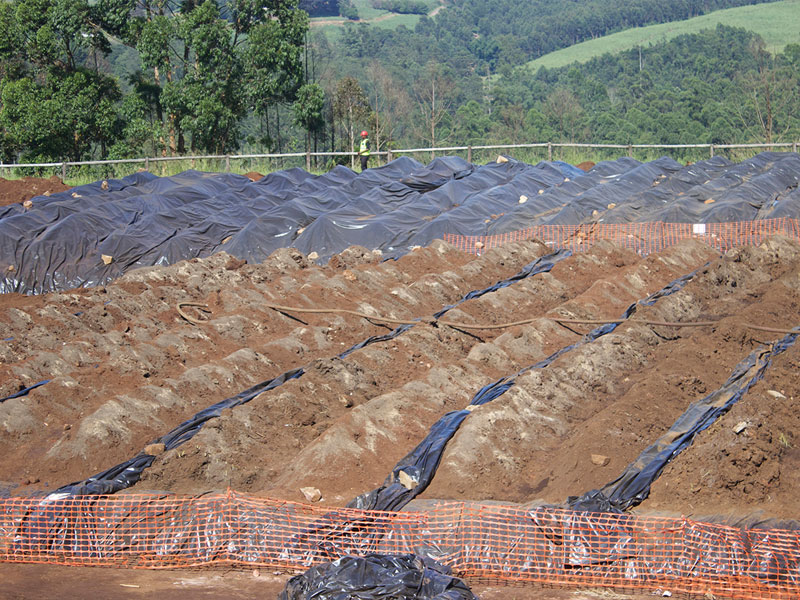 In situ treatment of contaminated soil